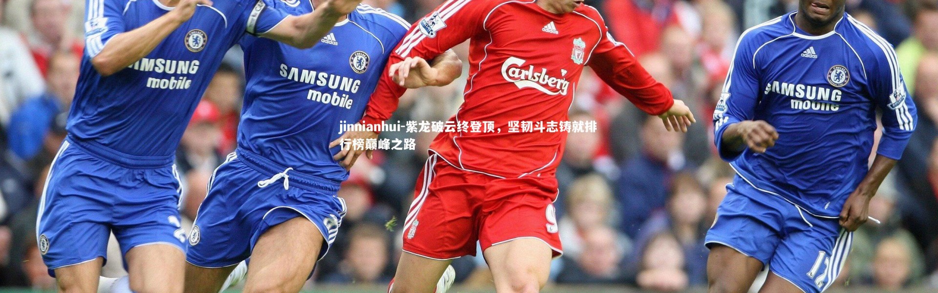 jinnianhui-紫龙破云终登顶，坚韧斗志铸就排行榜巅峰之路