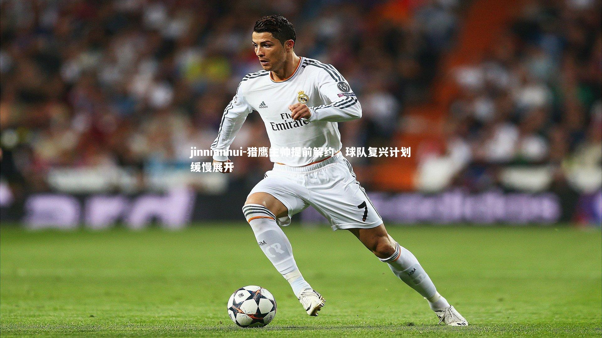 jinnianhui-猎鹰主帅提前解约,球队复兴计划缓慢展开