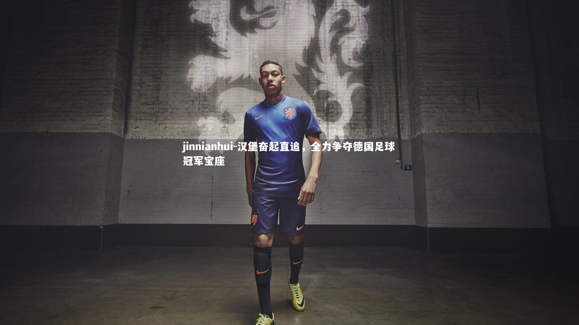 汉堡奋起直追，全力争夺德国足球冠军宝座